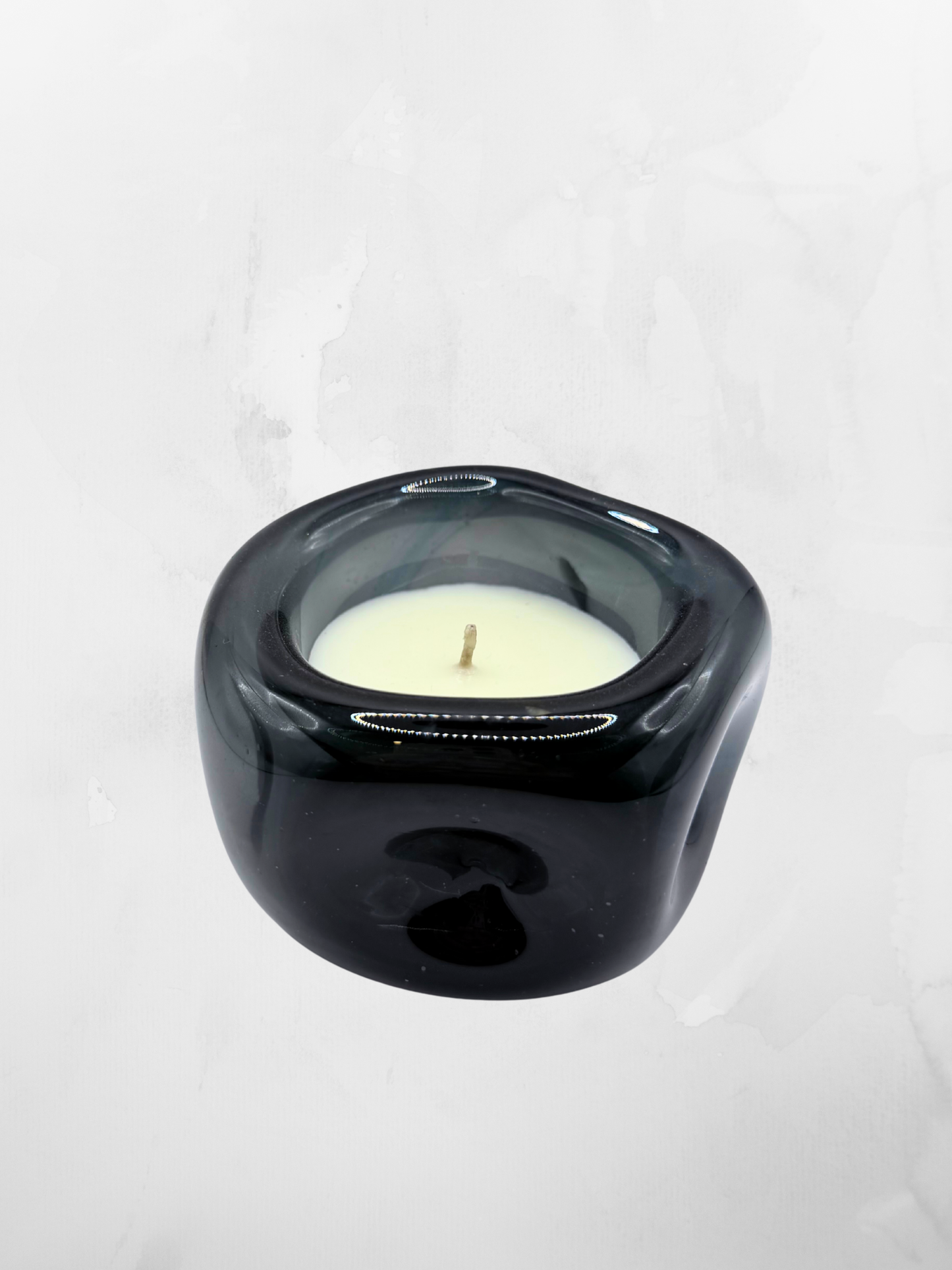 Belina Humo | 12 cm